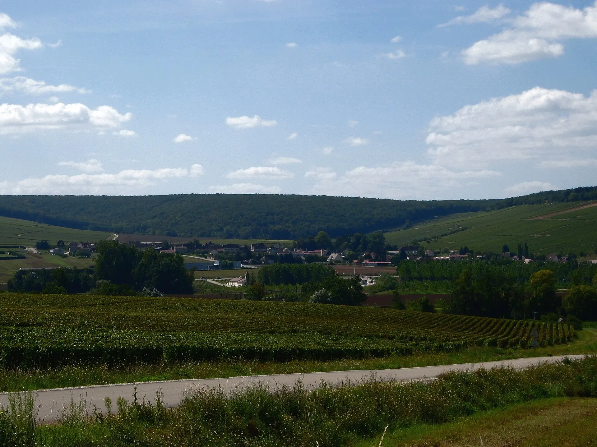 Vue en hauteur de Chablis au-delà des vignes